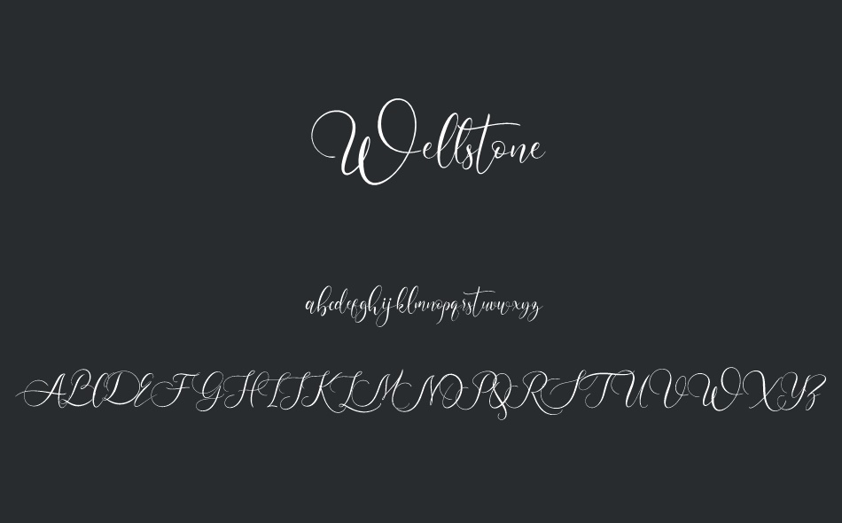 Wellstone font