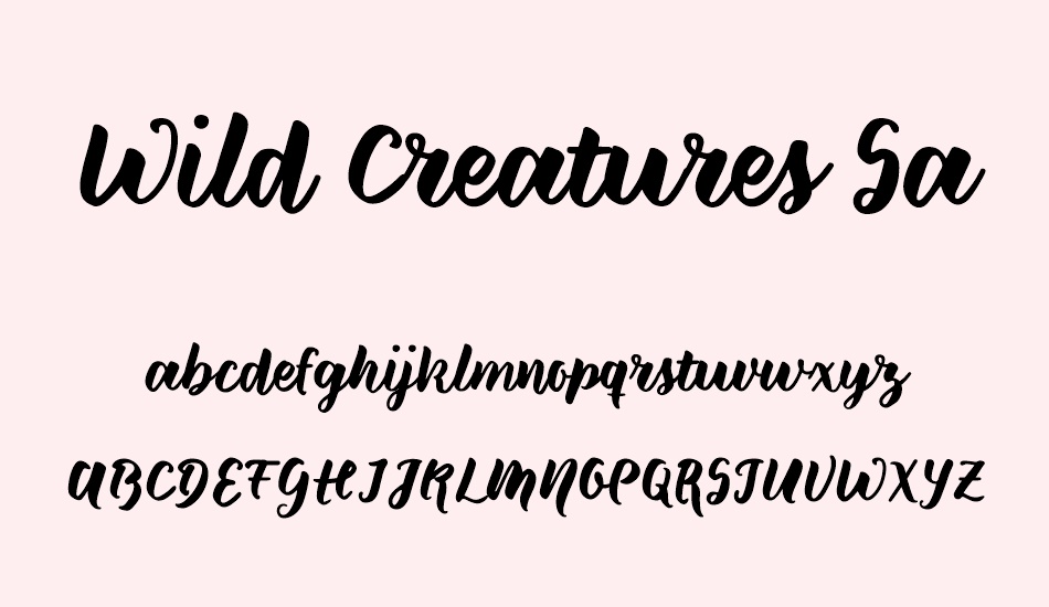 wild-creatures-sample font