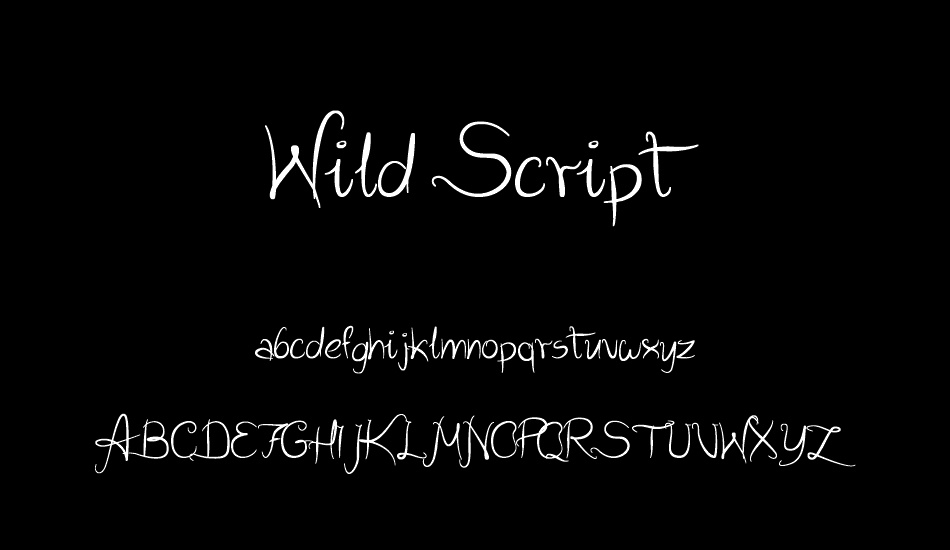 wild-script font