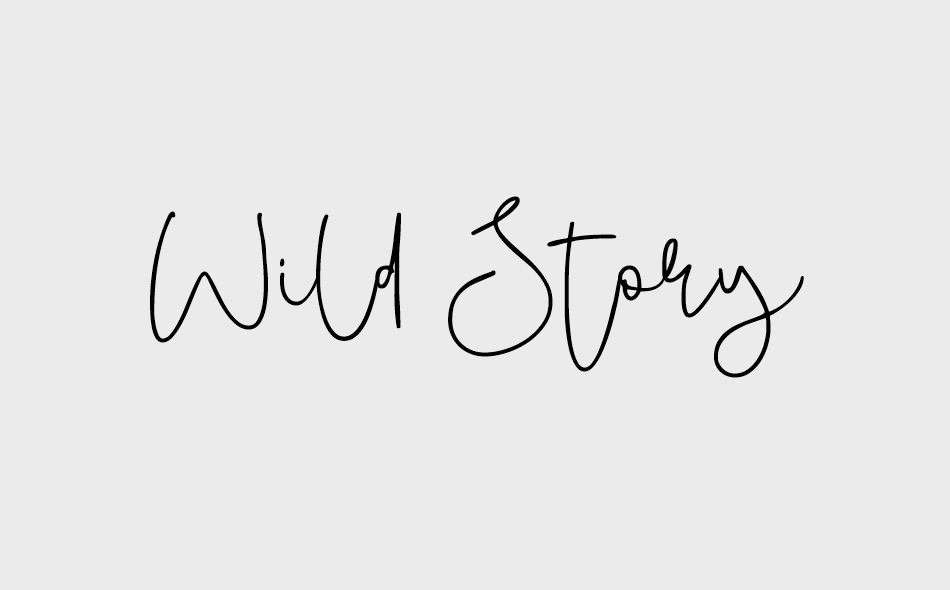 Wild Story font big