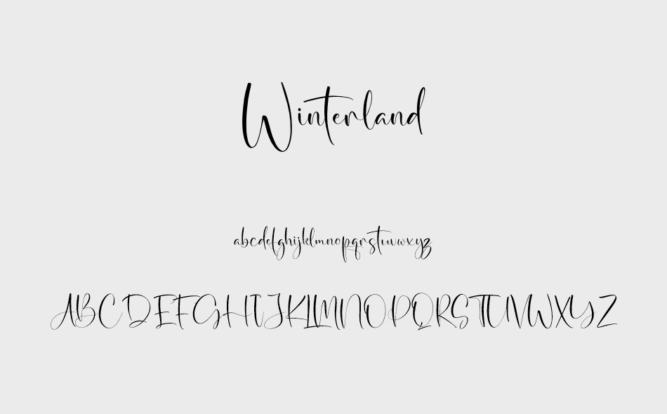 Winterland font