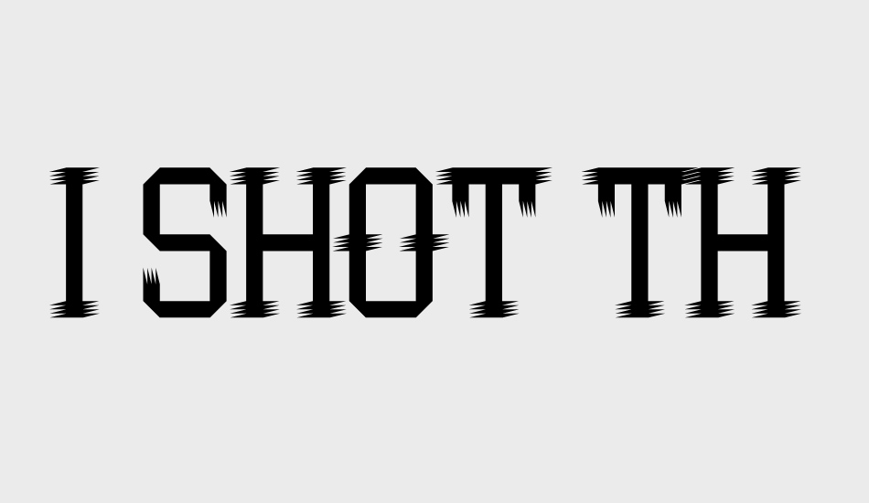 I Shot the Serif font big