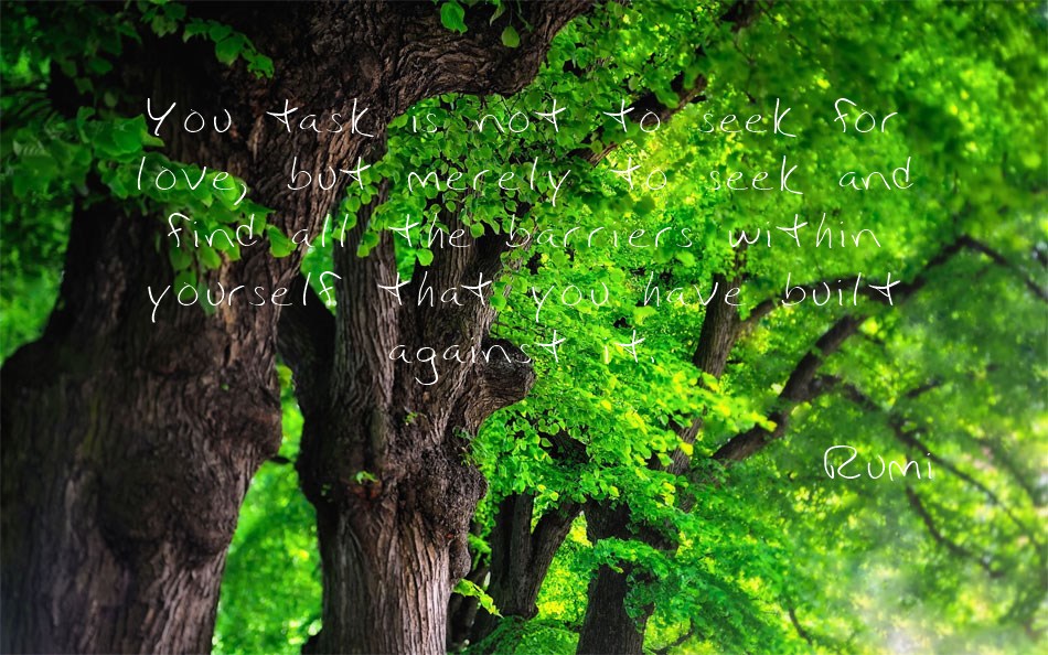 Ibarra font text
