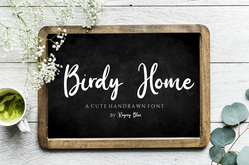 Birdy Home