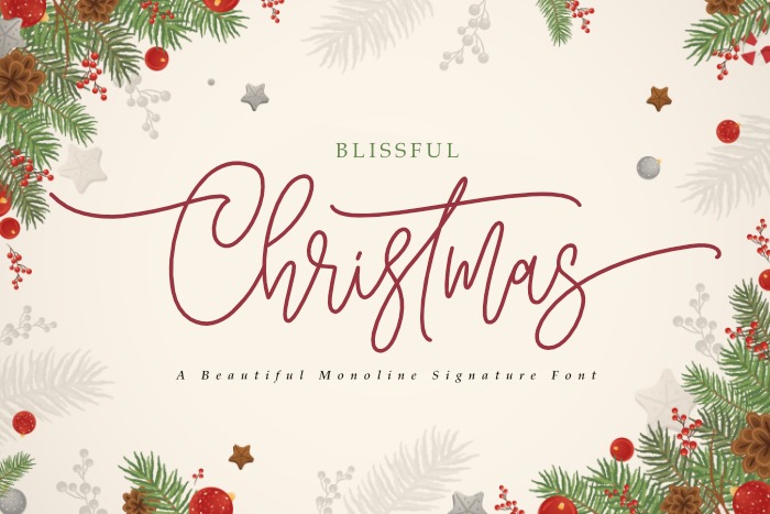 Blissful Christmas