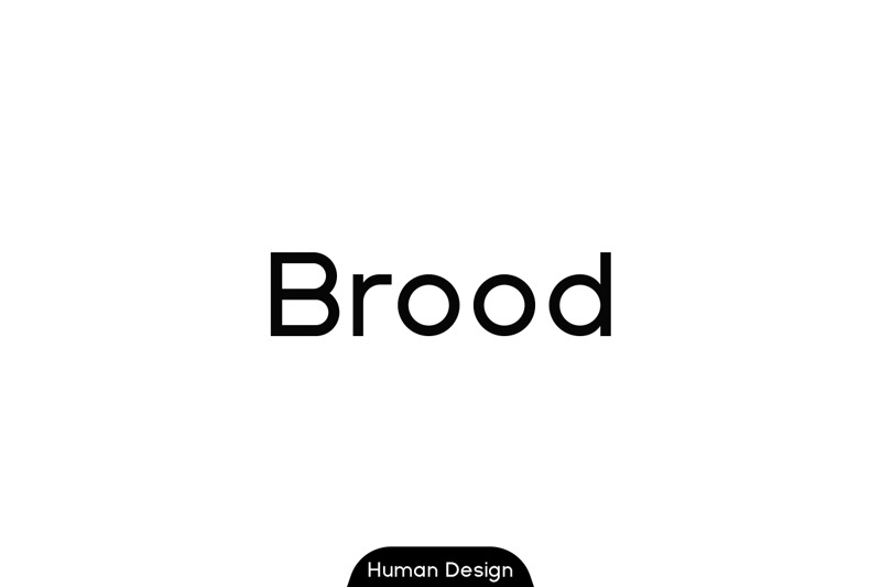 Brood