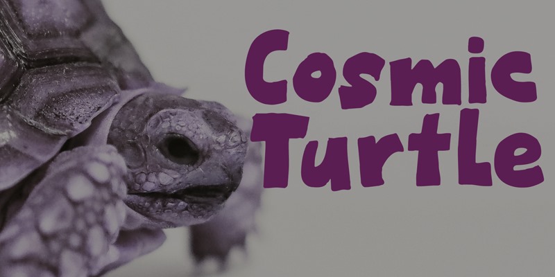 Cosmic Turtle