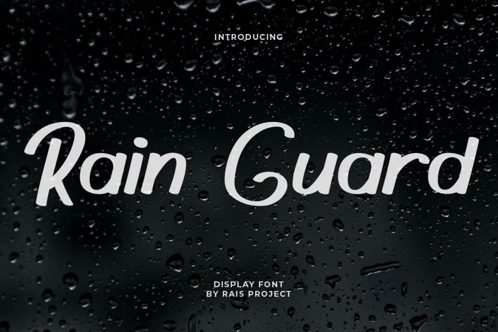 Rain Guard Demo