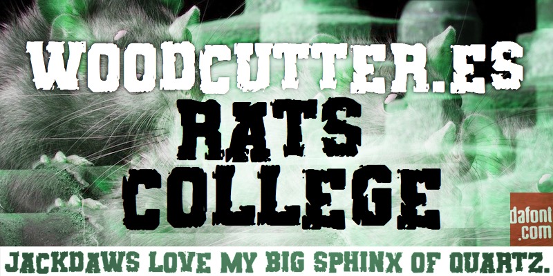 Rats College