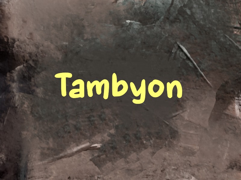 Tambyon